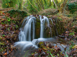 waterfall in the forest