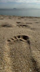 footprints in sand