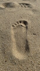 footprint in sand