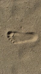 footprint in sand