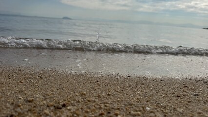 seagulls on the beach