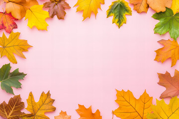 Vibrant Autumn Leaves on Pink Backgrounds for Seasonal Designs, Fall-Themed Graphics, and Nature-Inspired Art – Ideal for Marketing, Decor, and Digital Projects