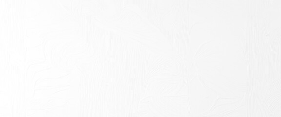 Vector white blank background brush stroke texture design element.