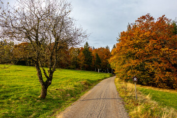Eine Herbstliche Wanderung zum Bergsee an der Ebertswiese im farbenfrohen Thüringer Wald - Thüringen - Deutschland
