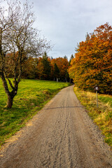 Eine Herbstliche Wanderung zum Bergsee an der Ebertswiese im farbenfrohen Thüringer Wald - Thüringen - Deutschland
