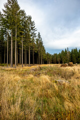 Eine Herbstliche Wanderung zum Bergsee an der Ebertswiese im farbenfrohen Thüringer Wald - Thüringen - Deutschland

