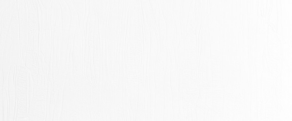 Vector white wall paint textured background.