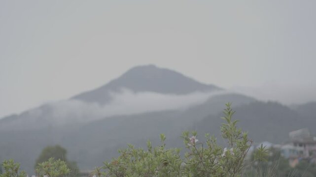 fog in the mountains tawangmangu S-log 3 