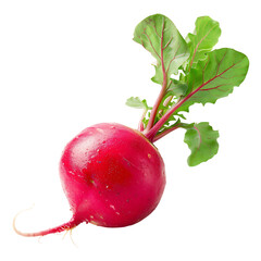 Red Radish Isolated on Transparent Background