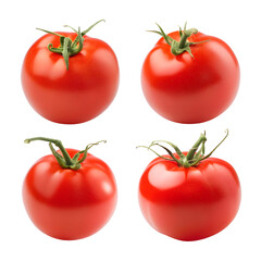 Set of 4 Tomatoes Isolated on Transparent Background