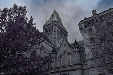 Fototapeta premium Manchester University