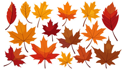 Autumn leaves or fall foliage icons. Vector isolated set of maple, oak or birch and rowan tree leaf. Falling poplar, beech or elm and aspen autumn leaves for seasonal holiday greeting card design