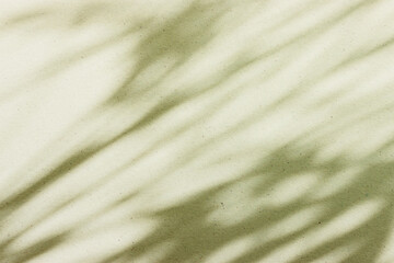 Background of texture and shadow abstract. Pastel green colors.