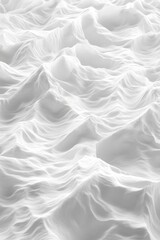 Fototapeta premium Black and White Wave Pattern