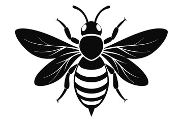 bee silhouette vector illustration white background