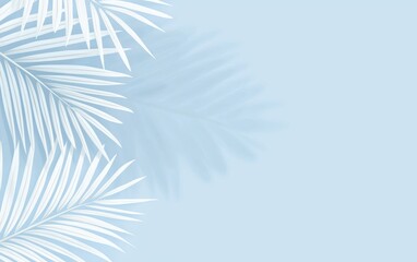 A serene background featuring white palm leaves against a soft blue backdrop, creating a calming and tropical atmosphere.
