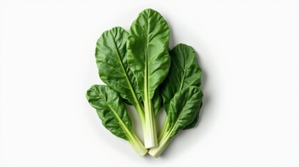 Fresh Spinach leaves arranged on a white background, showcasing vibrant green color