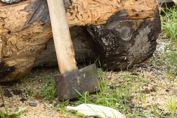 Fototapeta premium Cleaver ax for preparing firewood for the winter