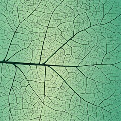 Obraz premium Detailed Green Leaf with Soft Vein Texture