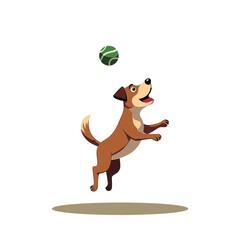 A cute playful dog playing with a ball