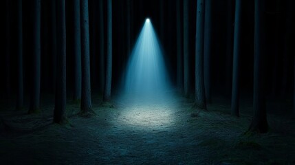 Dark forest with a single beam of artificial light highlighting a path, dramatic shadows, mysterious vibe