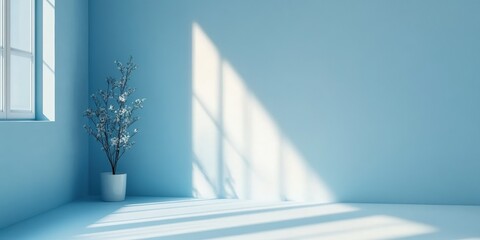 Soft Light Minimalist Interior with a Blue Background and Indoor Plant in a Pot Casting Shadows on the Floor