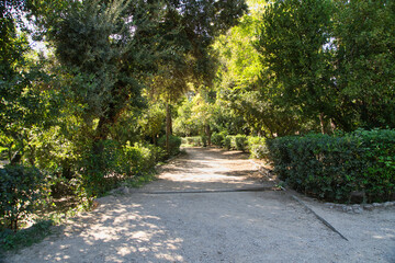 National garden in Athens Greece, a serene pathway meanders through a lush green forest on a sunny afternoon, inviting exploration and tranquility