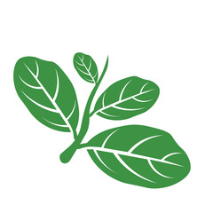 green leaf icon