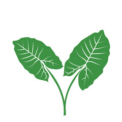 green leaf icon