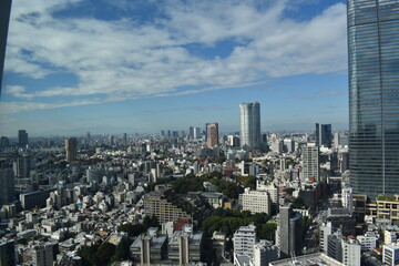 Fototapeta premium 東京都の風景