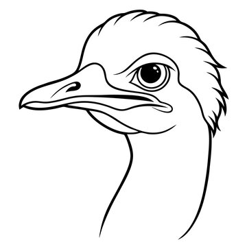 recommend clip art: Emu face white background vector illustration line art