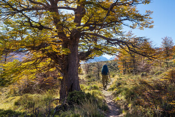 Hike in autumn season