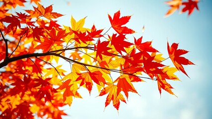 Autumnal foliage with fiery hues against a tranquil sky, showcasing nature's vibrant transformation during the season of change.