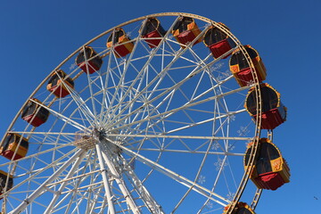 ferris wheel in the park