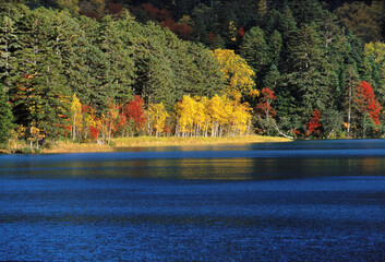 オンネトーの紅葉（足寄町）