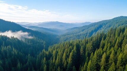 Fototapeta premium Majestic view of lush green forested mountains under a clear blue sky, AI