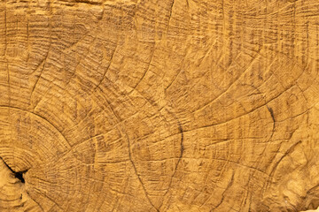 Naklejka premium 木目写真