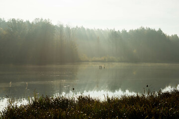Jezioro położone w wysokim, sosnowym lesie. Jest jesienny poranek. Nad jeziorem unosi się mgła rozświetlana promieniami słońca. © boguslavus