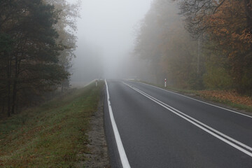 Asfaltowa droga prowadząca przez las, w mglisty, jesienny poranek. Nad jezdnią unosi się mgła ograniczająca mocno widoczność. © boguslavus