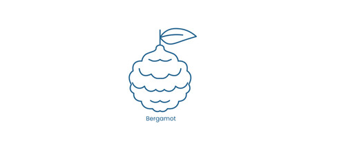 Vector Icon for Bergamot Fragrance