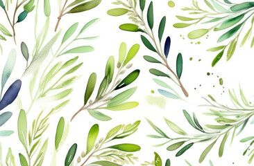 olive leaves pattern on white background, watercolor illustration isolated on white background