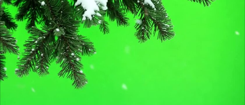 Snowflakes and fir tree branches covered with snow on frame with green screen background. Winter Holiday,Christmas background isolated on green chroma key background matte, alpha channel. 4k video