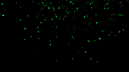 Perfect green fire particles embers sparks on black background . Texture overlays.