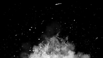 Texture of burn fire with particles embers. Flames on isolated black background. Texture for banner,flyer,card .