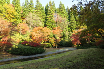 紅葉と針葉樹林の緑と川