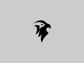 Falcon logo,Falcon Edge,Skystrike
Falcon Wing,Aero Talon,Swift Falcon,HawkEye
Falcon Force,Winged Pursuit,Sharp Flight
Storm Falcon