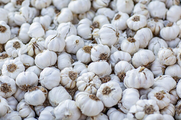 Garlic in the market. Selective focus. Shallow depth of field close-up