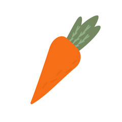 Carrot. flat vector illustration. 