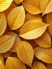 Fototapeta premium A close-up of vibrant golden leaves overlapping, showcasing intricate veins and textures. The warm hues create a calming autumn atmosphere, perfect for seasonal themes.