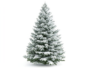 Photograph of a Christmas tree covered in snow